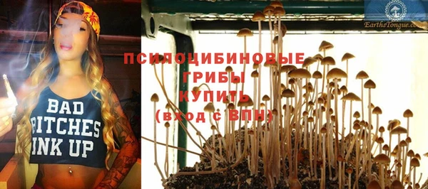 Альфа ПВП Верхний Тагил