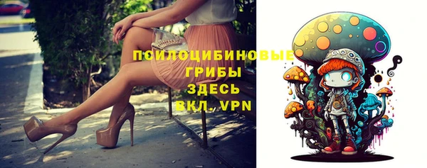 Альфа ПВП Верхний Тагил