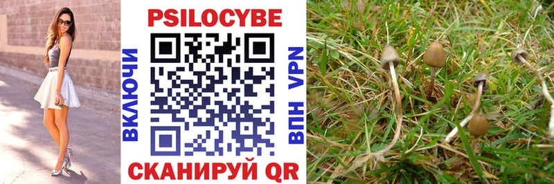 Галлюциногенные грибы MAGIC MUSHROOMS  маркетплейс как зайти  МЕГА маркетплейс  Островной  что такое  